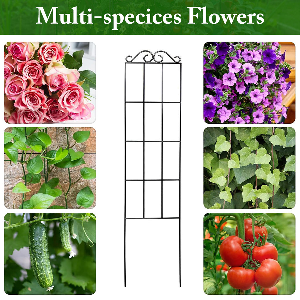 HASTHIP Metal Garden Trellis for Climbing Plants HASTHIP Metal Garden Trellis for Climbing Plants